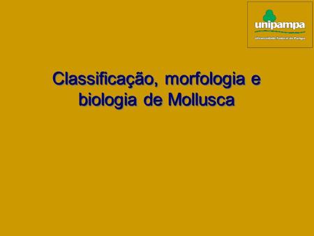 Classificação, morfologia e