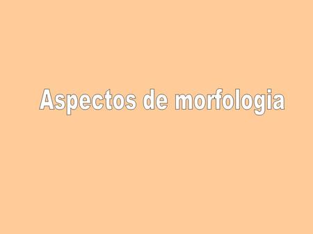 Aspectos de morfologia