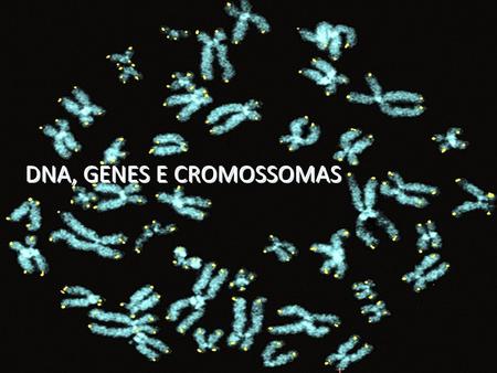 DNA, GENES E CROMOSSOMAS