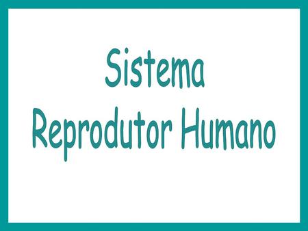 Sistema Reprodutor Humano.