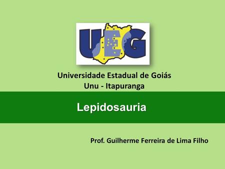 Universidade Estadual de Goiás Prof. Guilherme Ferreira de Lima Filho
