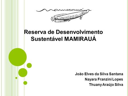 João Elves da Silva Santana Nayara Franzini Lopes Thuany Araújo Silva Reserva de Desenvolvimento Sustentável MAMIRAUÁ.