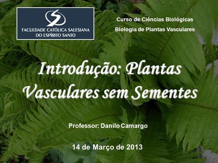 Introdução: Plantas Vasculares sem Sementes