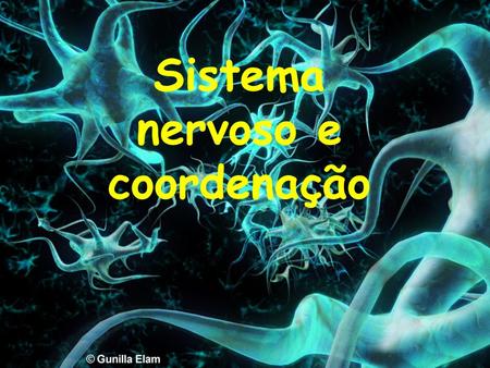 Sistema nervoso e coordenação. Coordenação nervosa  envolve neurônios e seus efeitos são rápidos e temporários. Coordenação hormonal  envolve hormônios.