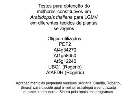 Testes para obtenção do melhores constitutivos em Arabidopsis thaliana para LGMV em diferentes tecidos de plantas selvagens Oligos utilizados: PDF2 At4g34270.