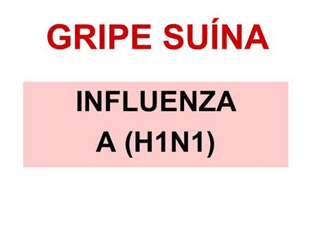 GRIPE SUÍNA INFLUENZA A (H1N1).