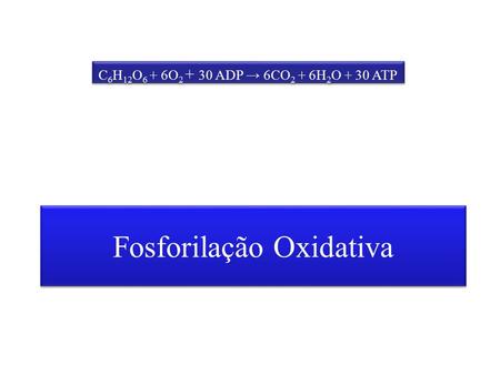 Fosforilação Oxidativa