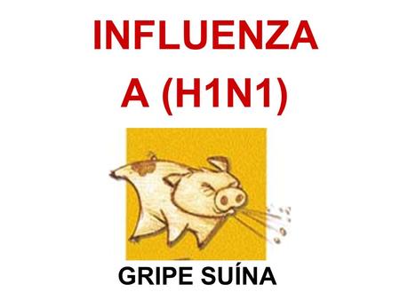 INFLUENZA A (H1N1) GRIPE SUÍNA.