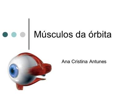 Músculos da órbita Ana Cristina Antunes.