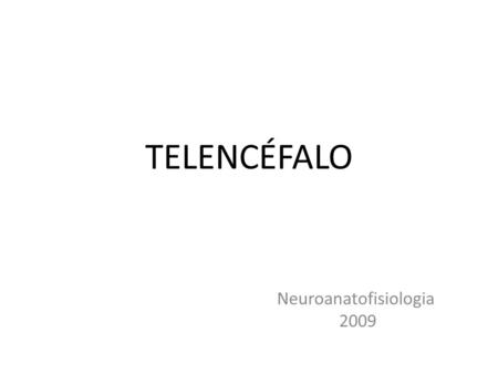 Neuroanatofisiologia 2009