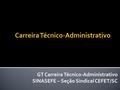 GT Carreira Técnico-Administrativo SINASEFE – Seção Sindical CEFET/SC.