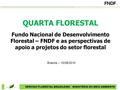 FNDF SERVIÇO FLORESTAL BRASILEIRO / MINISTÉRIO DO MEIO AMBIENTE QUARTA FLORESTAL Fundo Nacional de Desenvolvimento Florestal – FNDF e as perspectivas de.