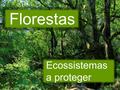Florestas Ecossistemas a proteger. Muitos apelidos e nomes de terras têm a ver com árvores e florestas: –Silva – nome latino para floresta –Esgueira –
