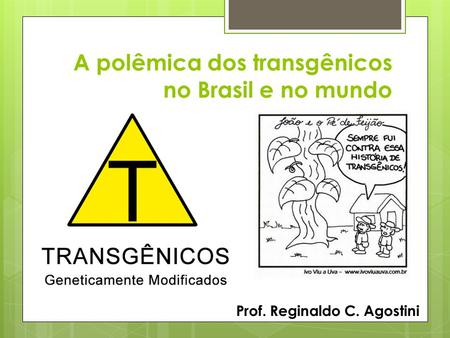 A polêmica dos transgênicos no Brasil e no mundo Prof. Reginaldo C. Agostini.