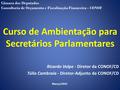 Curso de Ambientação para Secretários Parlamentares Ricardo Volpe - Diretor da CONOF/CD Túlio Cambraia - Diretor-Adjunto da CONOF/CD Câmara dos Deputados.