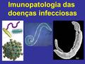 Imunopatologia das doenças infecciosas.