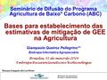 Seminário de Difusão do Programa Agricultura de Baixo* Carbono (ABC) Bases para estabelecimento das estimativas de mitigação de GEE na Agricultura Giampaolo.