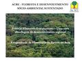 Políticas Florestais Estruturantes – Uma nova abordagem de desenvolvimento regional A experiência da Florestania no Estado do Acre ACRE - FLORESTA E DESENVOLVIMENTO.