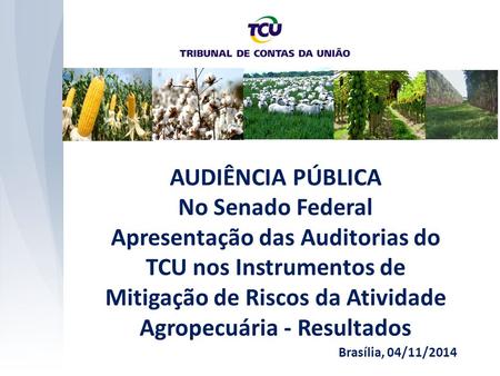 AUDIÊNCIA PÚBLICA No Senado Federal Apresentação das Auditorias do TCU nos Instrumentos de Mitigação de Riscos da Atividade Agropecuária - Resultados Brasília,