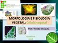 MORFOLOGIA E FISIOLOGIA VEGETAL: Célula vegetal