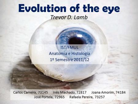 Evolution of the eye IST/FMUL Anatomia e Histologia 1º Semestre 2011/12 Carlos Carreira, 73145 Inês Machado, 72817 Joana Amorim, 74184 José Portela, 72965.