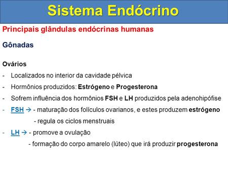 Sistema Endócrino Principais glândulas endócrinas humanas Gônadas