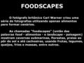 FOODSCAPES O fotógrafo britânico Carl Warner criou uma série de fotografias utilizando apenas alimentos para formar cenários. As chamadas foodscapes