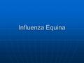 Influenza Equina.