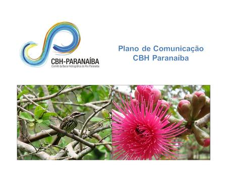 O Plano de Recursos Hídricos da Bacia do Rio Paranaíba foi aprovado no dia 04 de julho de 2013, na sede da Federação das Indústrias do Estado de Goiás,