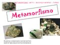 Metamorfismo METAMORFISMO: META = MUDANÇA MORPHO = FORMA