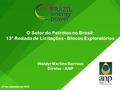 O Setor do Petróleo no Brasil: 13ª Rodada de Licitações - Blocos Exploratórios Waldyr Martins Barroso Diretor - ANP 21 de setembro de 2015.