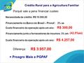 Crédito Rural para a Agricultura Familiar Porquê vale a pena financiar custeio Necessidade de crédito: R$ 10.000,00 Financiamento no Banco do Brasil –