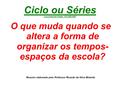 Ciclo ou Séries Luiz Carlos de Freitas - FE-UNICAMP