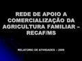 REDE DE APOIO A COMERCIALIZAÇÃO DA AGRICULTURA FAMILIAR – RECAF/MS RELATORIO DE ATIVIDADES – 2009.