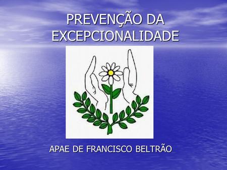 PREVENÇÃO DA EXCEPCIONALIDADE APAE DE FRANCISCO BELTRÃO.
