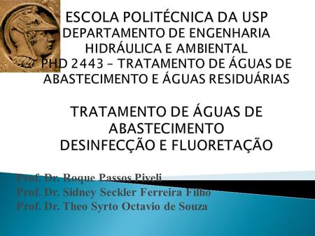 Prof. Dr. Roque Passos Piveli Prof. Dr. Sidney Seckler Ferreira Filho Prof. Dr. Theo Syrto Octavio de Souza.