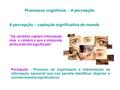 Processos cognitivos - A percepção