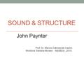 SOUND & STRUCTURE John Paynter Prof. Dr. Marcos Câmara de Castro Monitora: Adriana Moraes - MEMES I, 2015.