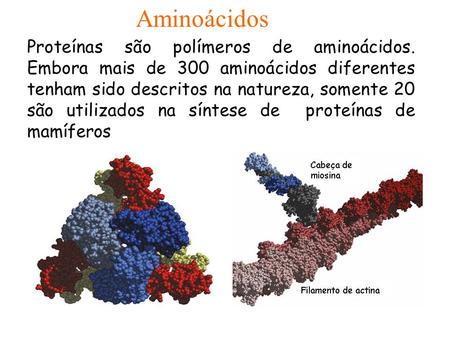 Aminoácidos Proteínas são polímeros de aminoácidos. Embora mais de 300 aminoácidos diferentes tenham sido descritos na natureza, somente 20 são utilizados.