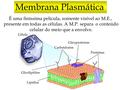 Membrana Plasmática É uma finíssima película, somente visível ao M.E., presente em todas as células. A M.P. separa o conteúdo celular do meio que a envolve.