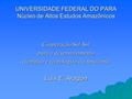 UNIVERSIDADE FEDERAL DO PARA Núcleo de Altos Estudos Amazônicos Cooperação Sul-Sul para o desenvolvimento científico e tecnológico da Amazônia Luis E.