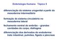 Embriologia Humana   Tópico 5