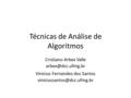 Técnicas de Análise de Algoritmos Cristiano Arbex Valle Vinicius Fernandes dos Santos