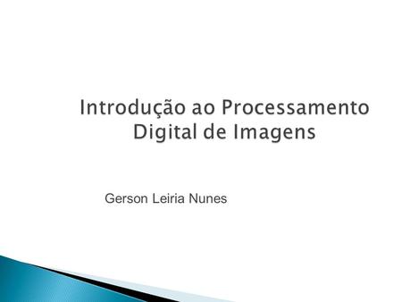Introdução ao Processamento Digital de Imagens Gerson Leiria Nunes.