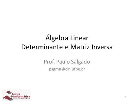 1 Álgebra Linear Determinante e Matriz Inversa Prof. Paulo Salgado