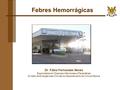 Dr. Fábio Fernandes Neves Especialista em Doenças Infecciosas e Parasitárias Divisão de Emergências Clínicas do Departamento de Clínica Médica Febres Hemorrágicas.