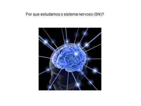 Por que estudamos o sistema nervoso (SN)?