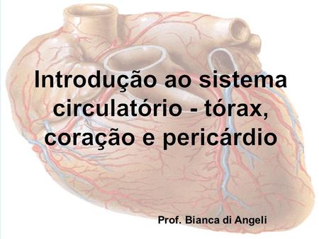 Introdução ao sistema circulatório - tórax, coração e pericárdio