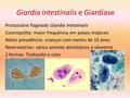 Giardia intestinalis e Giardíase