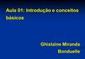 Aula 01: Introdução e conceitos básicos Ghislaine Miranda Bonduelle.